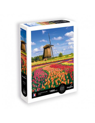Puzzle 1000 pièces - champs de tulipes - hollande