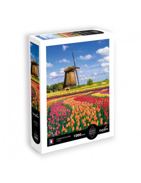 Puzzle 1000 pièces - champs de tulipes - hollande