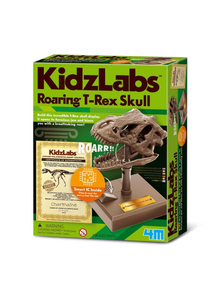 4m kidzrobotix: crâne de t-rex rugissant 12cm