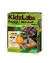 4m kidzrobotix: crâne de t-rex rugissant 12cm