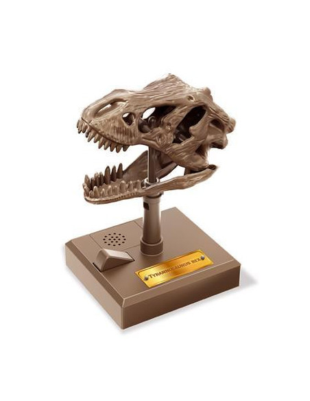 4m kidzrobotix: crâne de t-rex rugissant 12cm