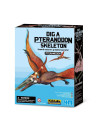 4m kidzlabs: deterre-ton-dinosaure (pteranodon)