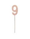 Decoration gateau anniversaire 9 rose