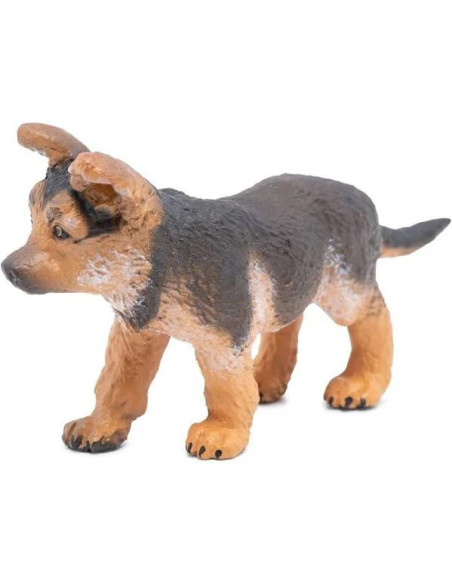 Bebe berger allemand