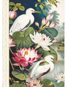 Carnet mots de passe - oiseaux