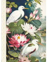 Carnet mots de passe - oiseaux