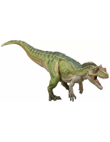 Ceratosaurus