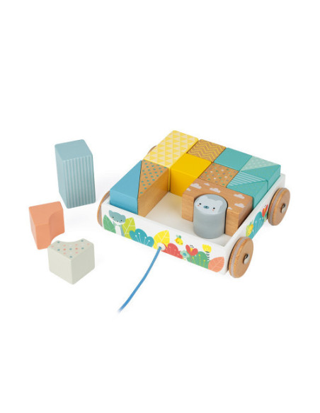 Chariot de cubes a promener - pure - janod