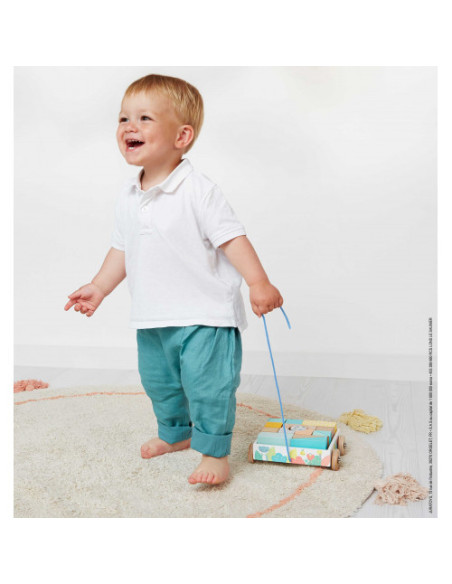 Chariot de cubes a promener - pure - janod