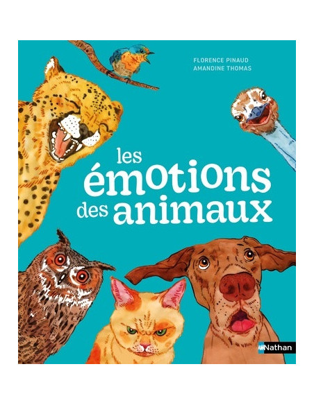 Les emotions des animaux