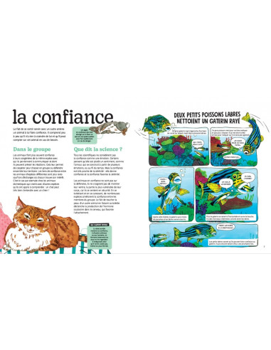 Les emotions des animaux