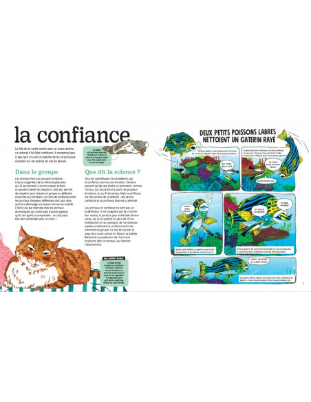 Les emotions des animaux
