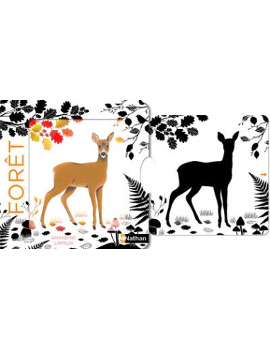 Foret