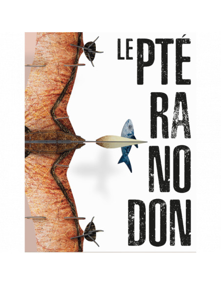 Pteranodon 3D (SEPTEMBRE 2019)
