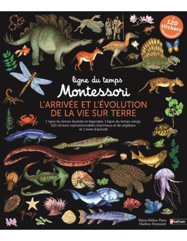 Ligne du temps montessori