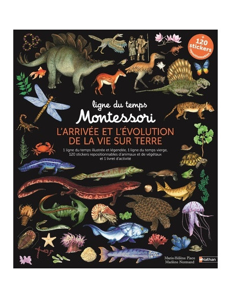 Ligne du temps montessori