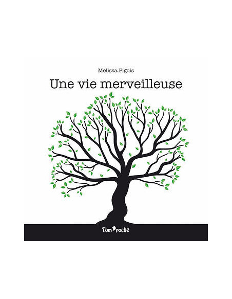 Une vie merveilleuse