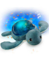 Aquadream tortue effets aquatiques rechargeable - pabobo