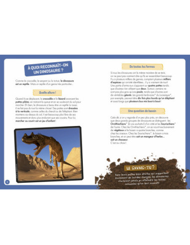 A la decouverte des dinosaures