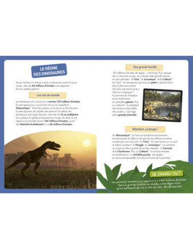 A la decouverte des dinosaures