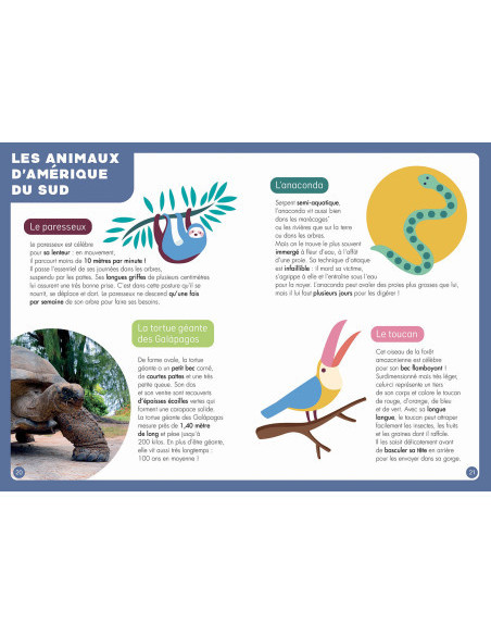Atlas : un puzzle - un livre - un poster
