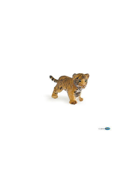 Bébé tigre