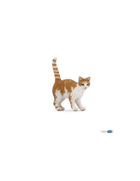 Chat roux