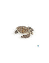 Tortue Caouanne PAPO - Reptile des Mers
