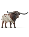 Taureau longhorn