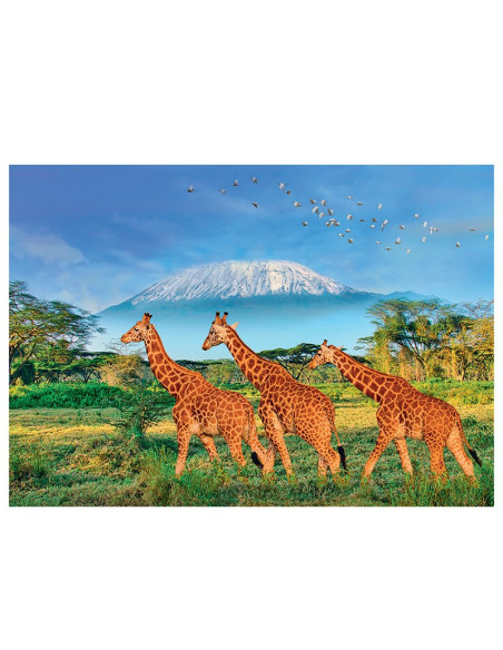 Puzzle 500 p xl girafes