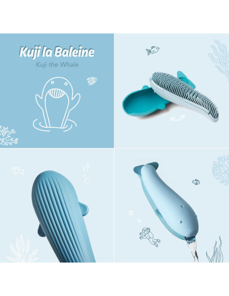 Kuji la baleine - jouet de bain - oppi