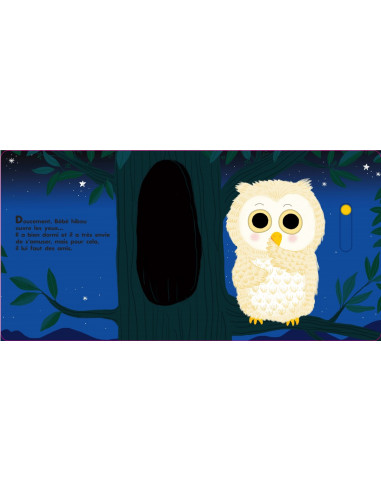 Au dodo bebe hibou pas sommeil