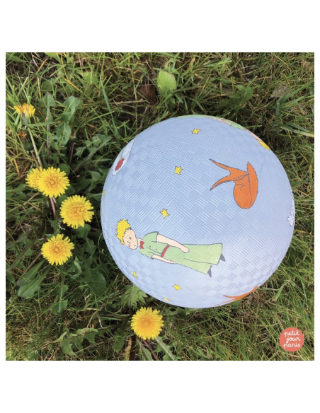 Grand ballon gris le petit prince