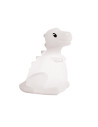 Kidynight dino