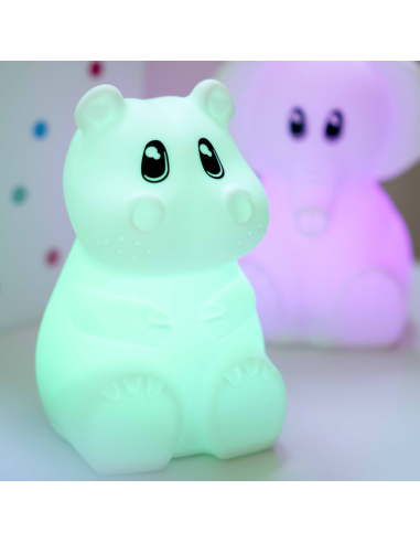 Kidynight hippopotamus