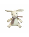 Sidonie, le lapin