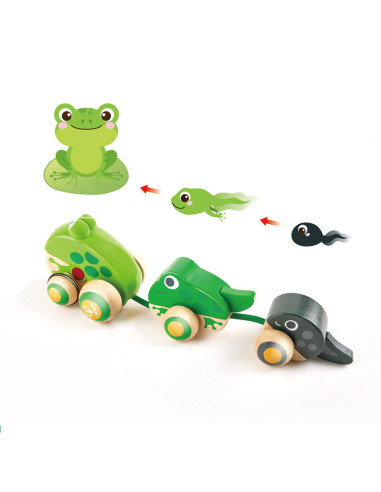 Famille de grenouilles a tirer - hape