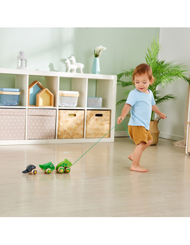 Famille de grenouilles a tirer - hape