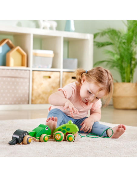 Famille de grenouilles a tirer - hape