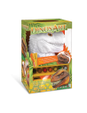 Dinosart - tirelire dinosaure a peindre