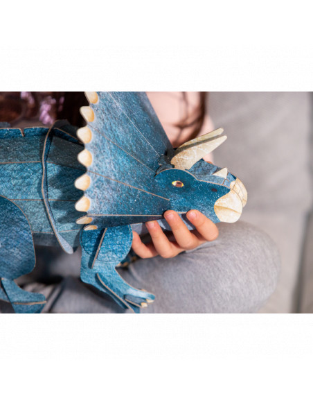 Le tricéraptos