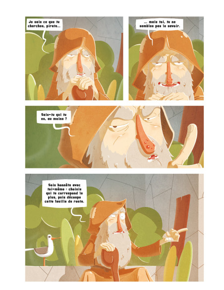 Pirates -  livre 2