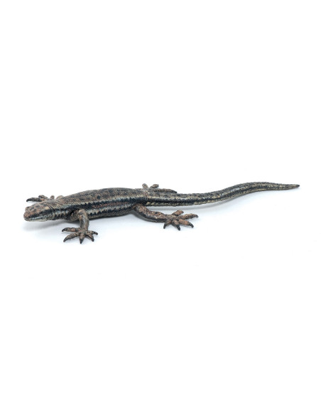 Lézard Commun PAPO - Reptile de nos Jardins