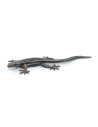 Lézard Commun PAPO - Reptile de nos Jardins