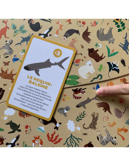 Cherche et trouve - animaux menaces - janod