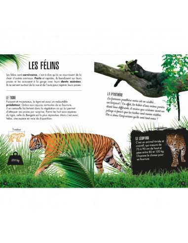 3d la jungle 