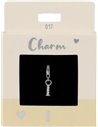 Charm Nr.17  I argent