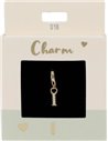 Charm Nr.18  I or