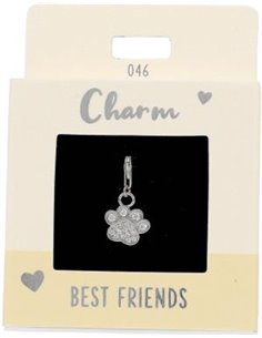 Charm Nr.46 Patte argent