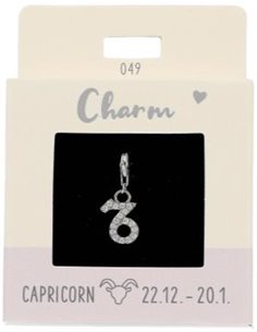 Charm Nr.49 Capricorne argent